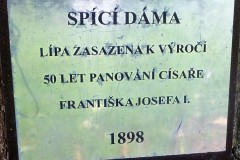 DSCF9129-3