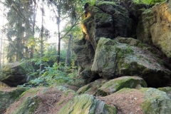 DSCF3694