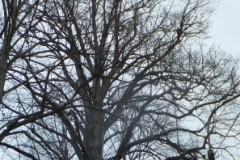 DSCF0421