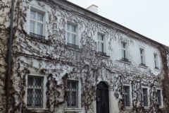 DSCF0432-1