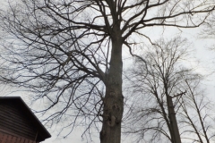 DSCF0494