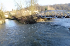 DSCF8910