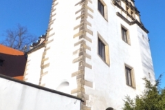 DSCF0546