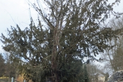 DSCF0505
