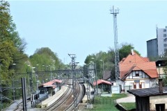 DSCF0054-3