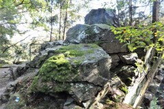 DSCF8845-1