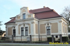 DSCF8701-1