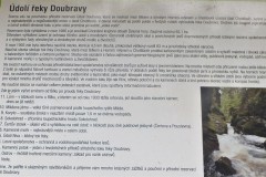 DSCF8782-1