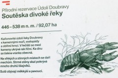 DSCF8793-1