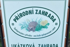 DSCF8715-1