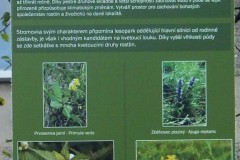 DSCF8703-1
