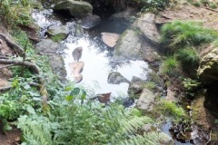 DSCF8843-1