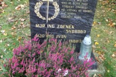 DSCF8774-1