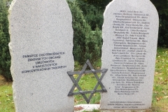 DSCF9302-1