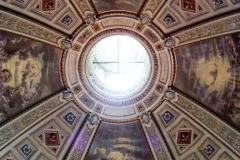 DSCN6567