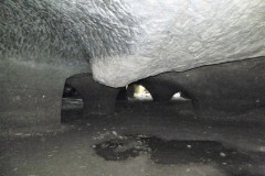 DSCF8736-2