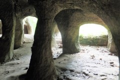 DSCF8737-2