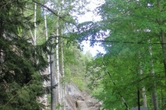 DSCN2314-2