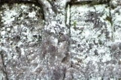 DSCF2082-2