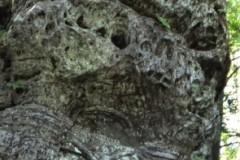 DSCF2083-2