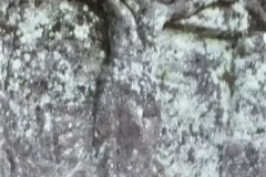 DSCF2084-2