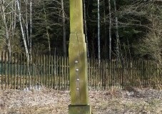 DSCF9857-2