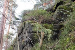 DSCF9864-2