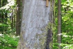 IMG_1008-2
