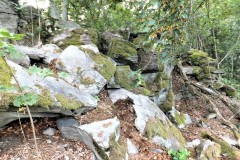 DSCF8783-2