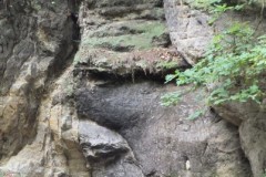 DSCF4497-2