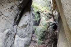 DSCF2645-2