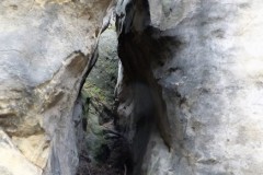 DSCF2650-2