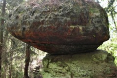 IMG_1003-2
