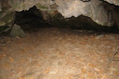 IMG_1010