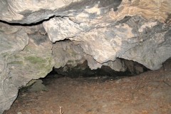 IMG_1013-2