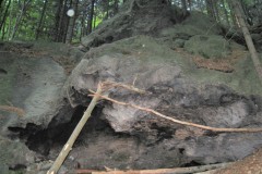 IMG_1017-2