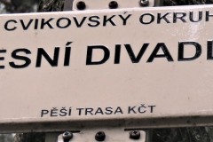 DSCN9889-2