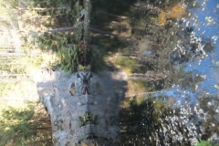 DSCF4296