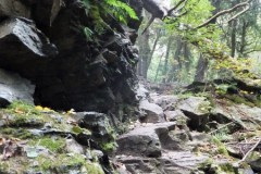 DSCF8794-1