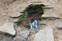 DSCF8802-1