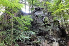 DSCF8805-1