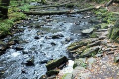 DSCF8809-1