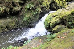 DSCF8820-1