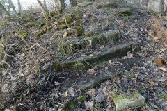 DSCF0034