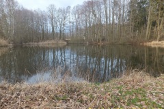 DSCF9809