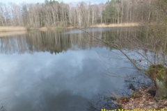 DSCF9812