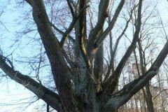 DSCF0091