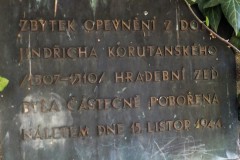 DSCF9501-1