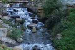 DSCF9492-1