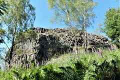DSCF6281-2